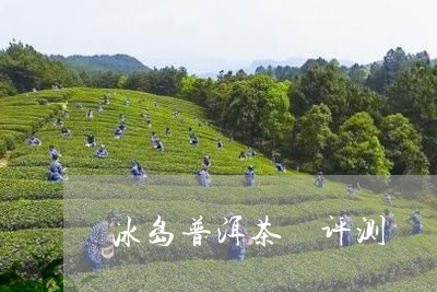 冰岛普洱茶 评测/2023041314058